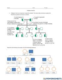 Pedigree worksheet answer key interpreting a human pedigree use the pedigree below to answer 1 5 1. Pedigree Analysis Worksheet