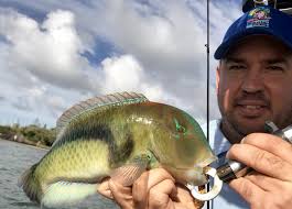 Category » Articles Archives