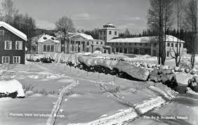 Maybe you would like to learn more about one of these? Hurdal Verk Turisthotell Akershusbasen Digitaltmuseum