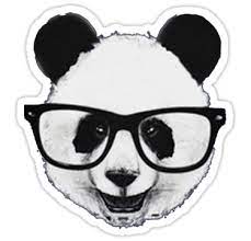 Hipster Panda Sticker By A P Panda Art Hipster Stickers Panda Head