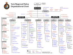 Nypd Organizational Chart Pictures To Pin On Pinterest