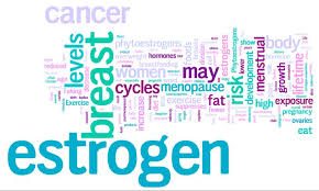 Dry fruits dry fruits are known to have a number of health benefits. Eating Foods Rich In Phytoestrogens May Reduce Breast Cancer Risk