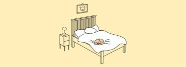 All depictions of mikasa are to be 18+. Welche Matratze Passt Zu Mir Mit Wenigen Klicks Zum Perfekten Schlafgefuhl