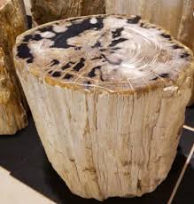 Petrified Wood Stump Side Table In 2020 Wood Stool Petrified Wood Wood End Tables