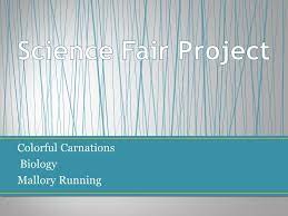 Maybe you would like to learn more about one of these? Science Fair Project Colorful Carnations Biology Mallory Running Ppt Video Online Download