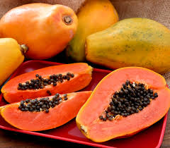 Image result for Carica papaya