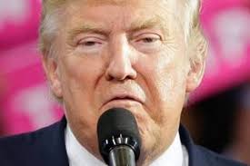 Fear, anger, and shrugs in the wake of Trump