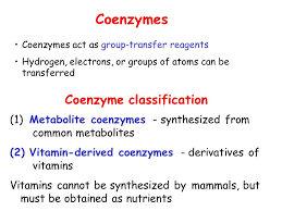 Coenzymes are sometimes referred to as cosubstrates. Isoenzymes Role Of Cofactors And Coenzyme Vitamins In The Catalytic Action Of Enzymes Ppt Download