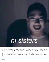 I announced a contest on tik tok asking my. Hi Sisters Hi Sisters Meme When You Hear James Charles Say Hi Sisters Side Meme On Me Me
