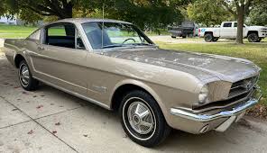 Image result for Champagne Beige 1965 Mustang