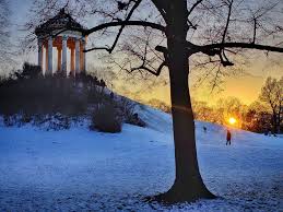 Sunset At Englischer Garten Munich Tree Plants Garten