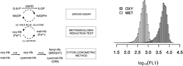 Image result for G6PD Deficiency Detection