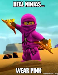 I M The Pink Ninja But Zane Is Awesome But Not As Much As Cole Pink Ninja Lego Ninjago Nya Ninjago