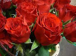 The main message is that war destroys peace, and causes loss of innocent lives. Pin On A Rose By Any Other Name