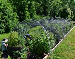 Bird Netting For Garden Near Me Pin On Our Garden