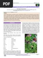 Image result for Phragmanthera crassicaulis