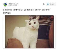 Anlamli Dusundurucu Eglenceli Guzel Komik Konusan Resimler Konusan Resimler Www Kizlarinsirlari Club Komik Komik Goruntuler Komik Alintilar
