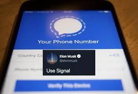 This was sufficient to drive more than 5,100 percent of signal advancing's rally over three. After Musk Tweets Use Signal Unrelated Stock With Similar Name Surges 1 100
