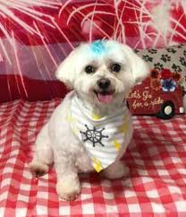 Ruff & his dad (Ace) was