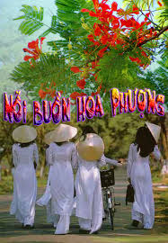 Image result for nỗi buồn hoa phượng