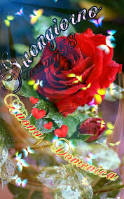 Pin Di Luana Su Immagini Create Da Me Buona Domenica Domenica Buongiorno Amore Mio