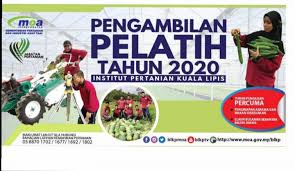 .训组（bahagian latihan pertanian kebangsaan, blpk）推行涵盖九个领域的国家农业技术课程 目前，共有15所训练中心或学院，根据不同的领域提供专业培训课程，例如，马来西亚技术证书（sijil kemahiran malaysia, skm）、农业证书（sijil pertanian）、兽医学证书（sijil veterinar）、渔业证. Alamat Bahagian Latihan Kemahiran Pertanian