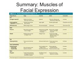 Labs Muscles Bone Practical Wed 8am 40 50 Stations About