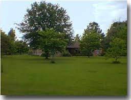 Argentine Bahia Lawn Seeding Lawn Bahia Grass Lawn