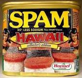 Why Do Hawaiians like Spam so much?