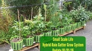 Intro To Rain Gutter Grow Systems Small Scale Life