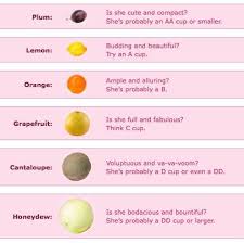 45 Genuine Breast Sizes Compared To Fruits