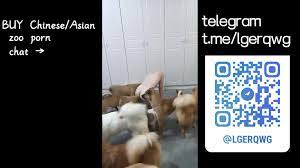 Telegram zoo porn