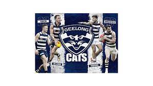 Dedicated geelong cats fans should look into getting a paid subscription if they don't want to. Buy Afl Geelong Cats 4 Player 1 000 Piece Jigsaw Puzzle Harvey Norman Au