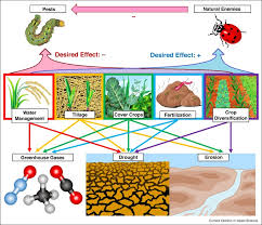 A list of insects that are approved for use as pets, pet food, biological control agents, educational displays, and release in oregon. Can Agricultural Practices That Mitigate Or Improve Crop Resilience To Climate Change Also Manage Crop Pests Sciencedirect