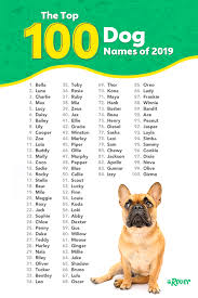 Here are some stories of iconic dogs who shaped the course of human lives around the world 43 Best Dog Names Ideas Dog Names Popular Dog Names Most Popular Dog Names