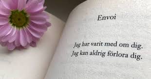 Jag skriver inte dikter längre, men den här dikten krävde att jag skrev den. / bodil malmsten i mars 2015. 8 Starka Diktsamlingar Att Atervanda Till Selma Stories
