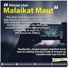 Pin Di Muslim