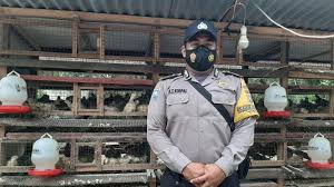 Kegiatan menyiapkan bekal di pagi hari memang mempunyai tantangannya sendiri. Hobi Yang Ditekuni Brigadir Antonius Beternak Puyuh Hasilkan Rp 5 Juta Perbulan Mediatani