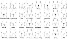 Choose Your Favorite Pubic Hair Style Girlsaskguys
