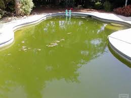 Filtre A Sable A Faire Soi Meme Pour La Piscine Les Meilleurs Produits Maison