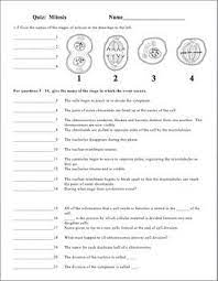 Maybe you would like to learn more about one of these? Mitosis Quiz Printable And Digital Distance Learning Life Science Classroom Mitosis Biology Classroom