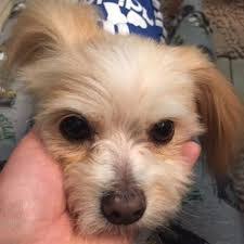 Melinda Luper's Instagram, Twitter & Facebook