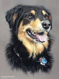 Portretinbeeld English Shepherd1 Jpg 771 1 024 Pixels Dog Art Animal Art Pet Portraits
