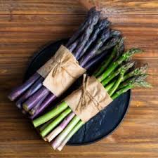 Image result for Asparagus schroederi