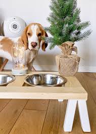 Tuto Porte Gamelle Pour Chien Diy Clem Around The Corner Gamelle Chien Gamelle Porte Gamelle Chien