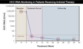 monitoring during and after hcv treatment core concepts