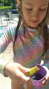 Unconventional pickle dipping combinations, including grape soda