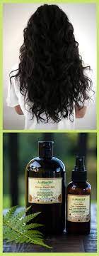 Grow New Hair Shampoo Shampoo Hair Fall Fall Hair Thining Hair