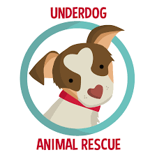 Underdog pet rescue, 231 s. Home Underdog Animal Resue Lafayette Ca
