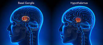 Post Concussion Syndrome Sleep Why You Re Suffering And What To Do About It